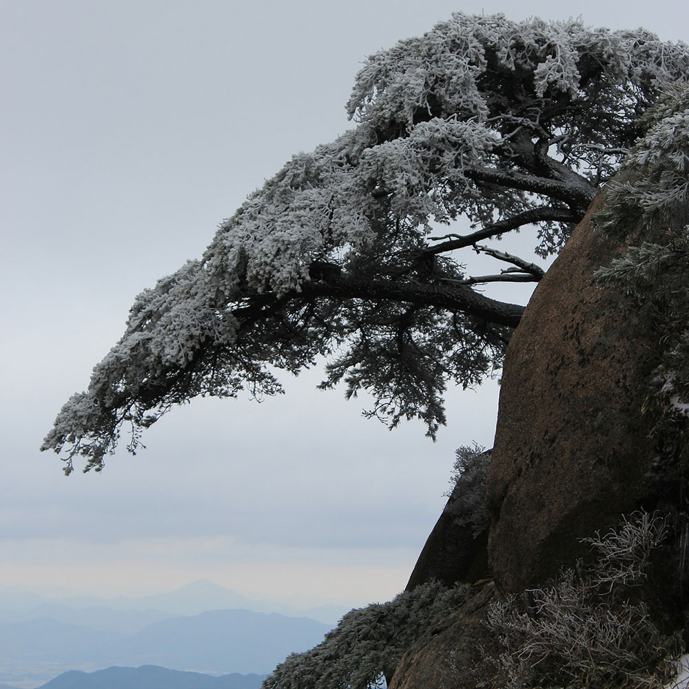 Sanqing Mountain tour