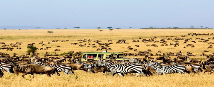 Tour Packages Africa | Expats Holidays