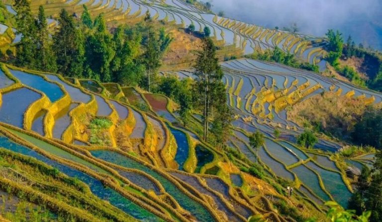 Travelplans: Yuanyang Rice Terrace or Longji Rice Terrace? | Expats ...