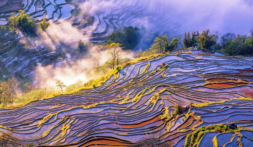 Travelplans: Yuanyang Rice Terrace or Longji Rice Terrace? | Expats ...